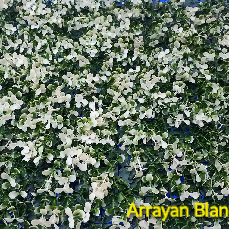 Follaje White boxus - precio por m2 1