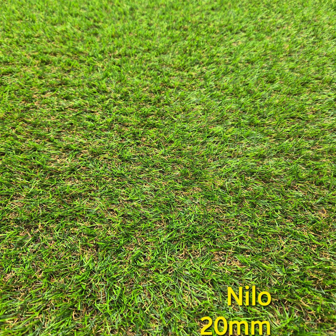 Pasto sintético Nilo - precio por m2 1