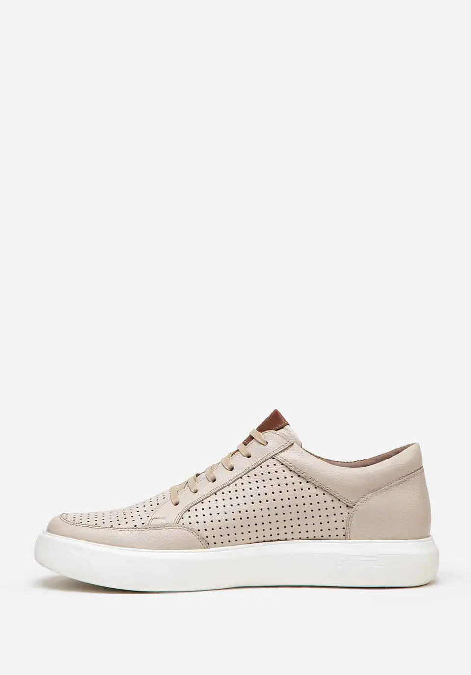 Sneakers Vanguard 31