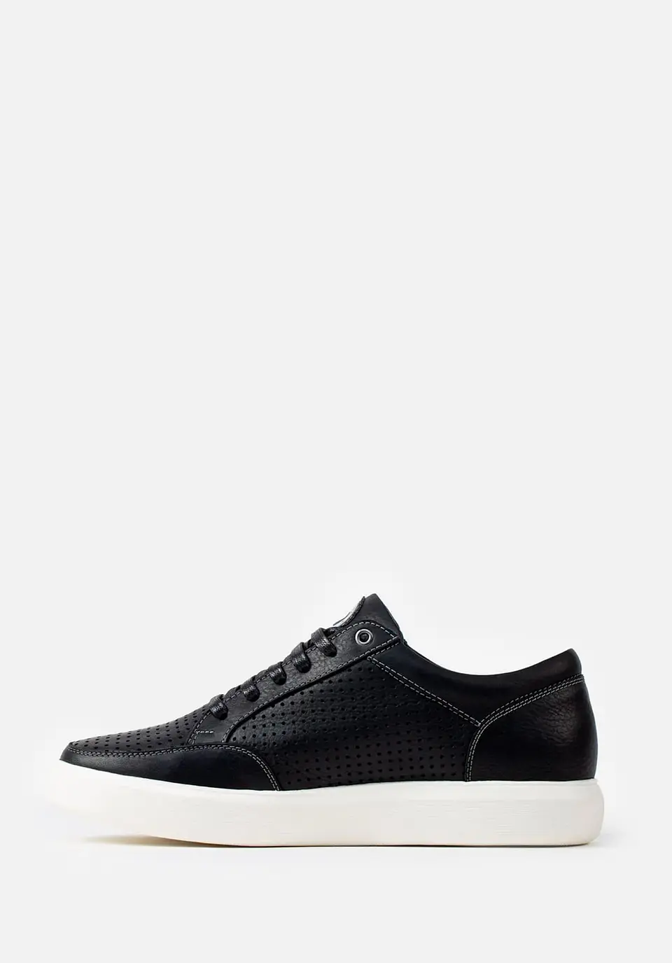 Sneakers Vanguard 80