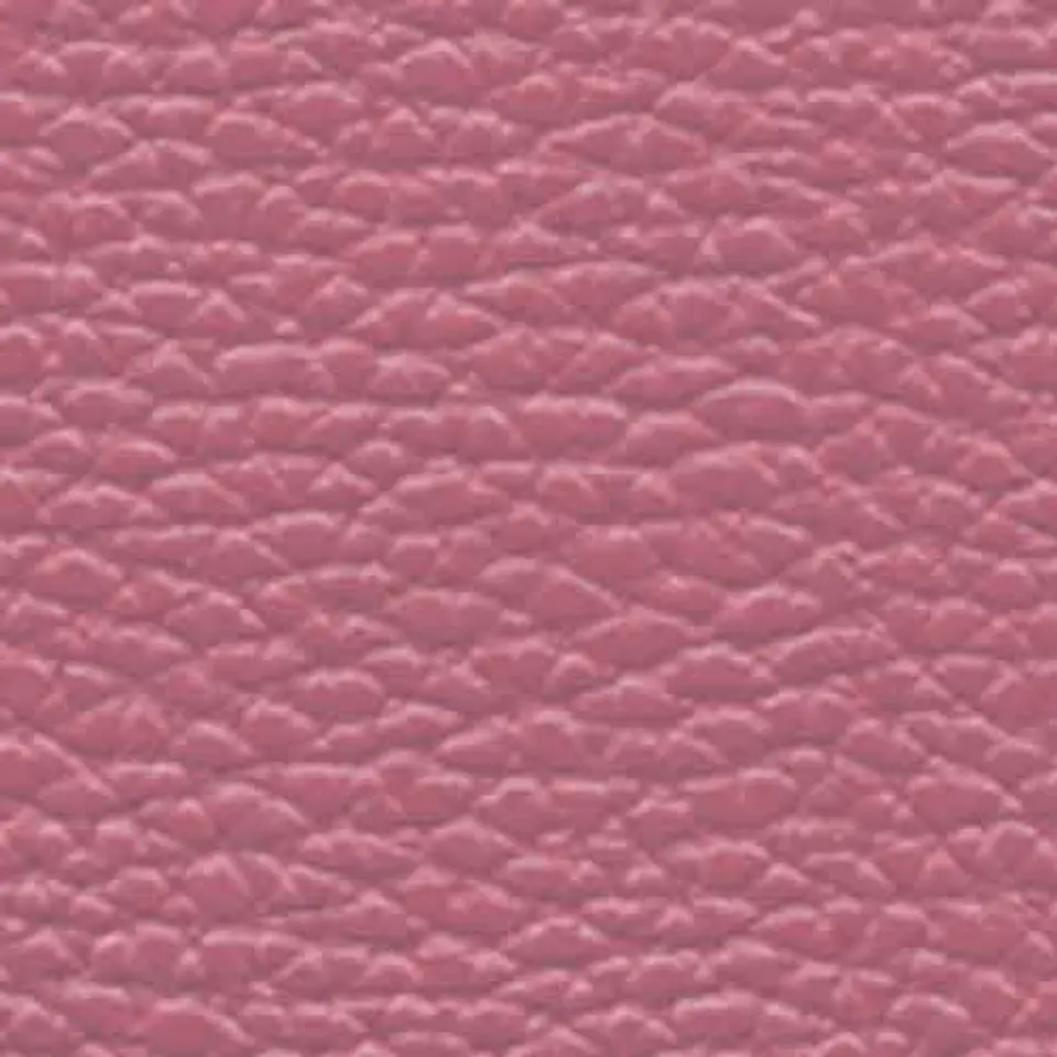 Cartera Pretty 27