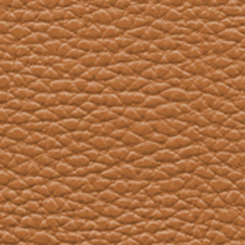Cartera Monogram Icon