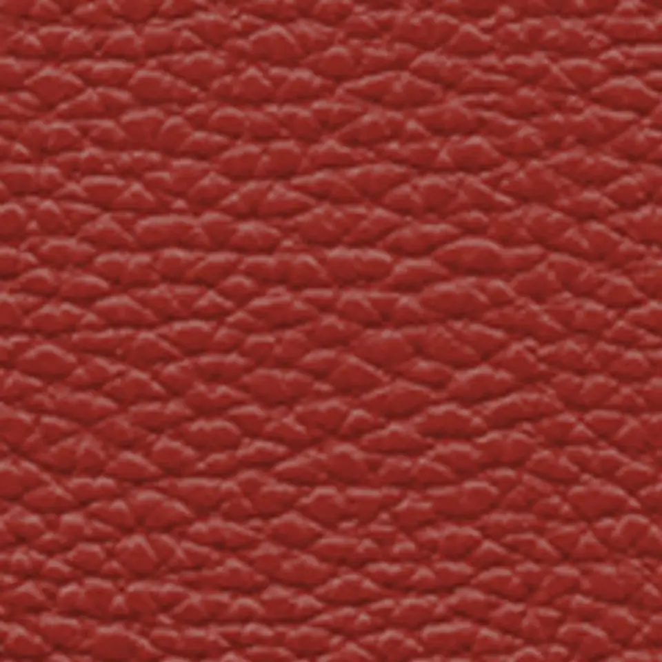 Morral Bloom Curve 29