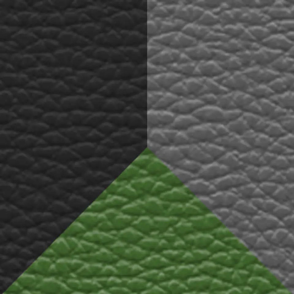 Canguro Colorato 20