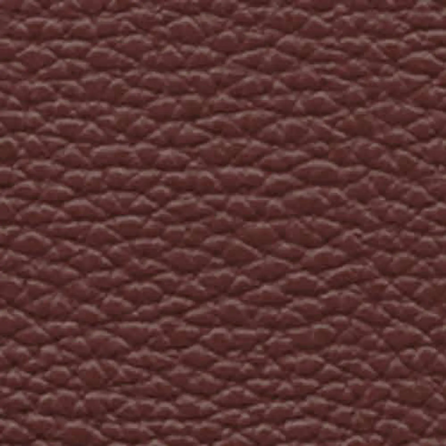 Cartera Cuero Nova Strap 21