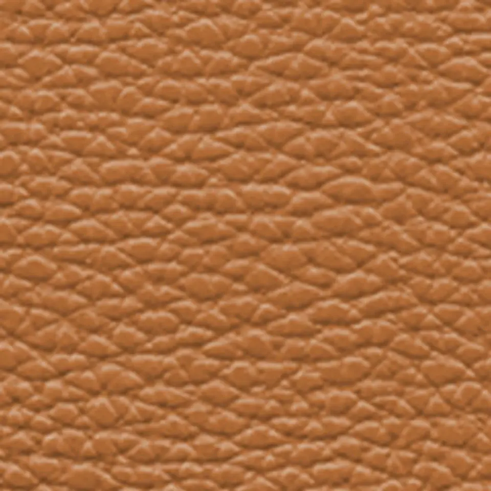 Cartera Cuero Mini Muse 6