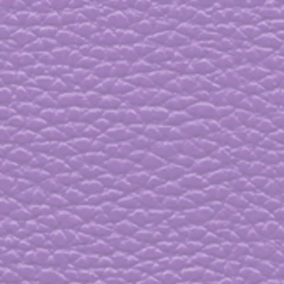 Cartera Cuero Tote Petalia 9