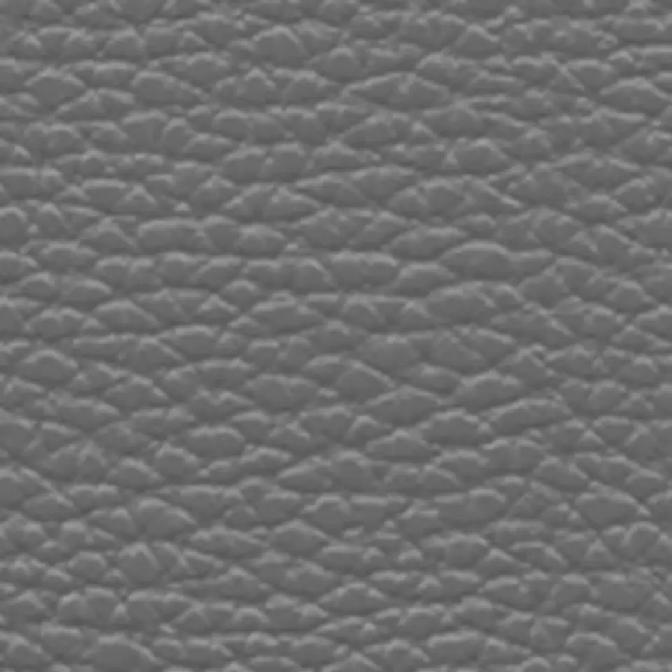 Correa Xara 10