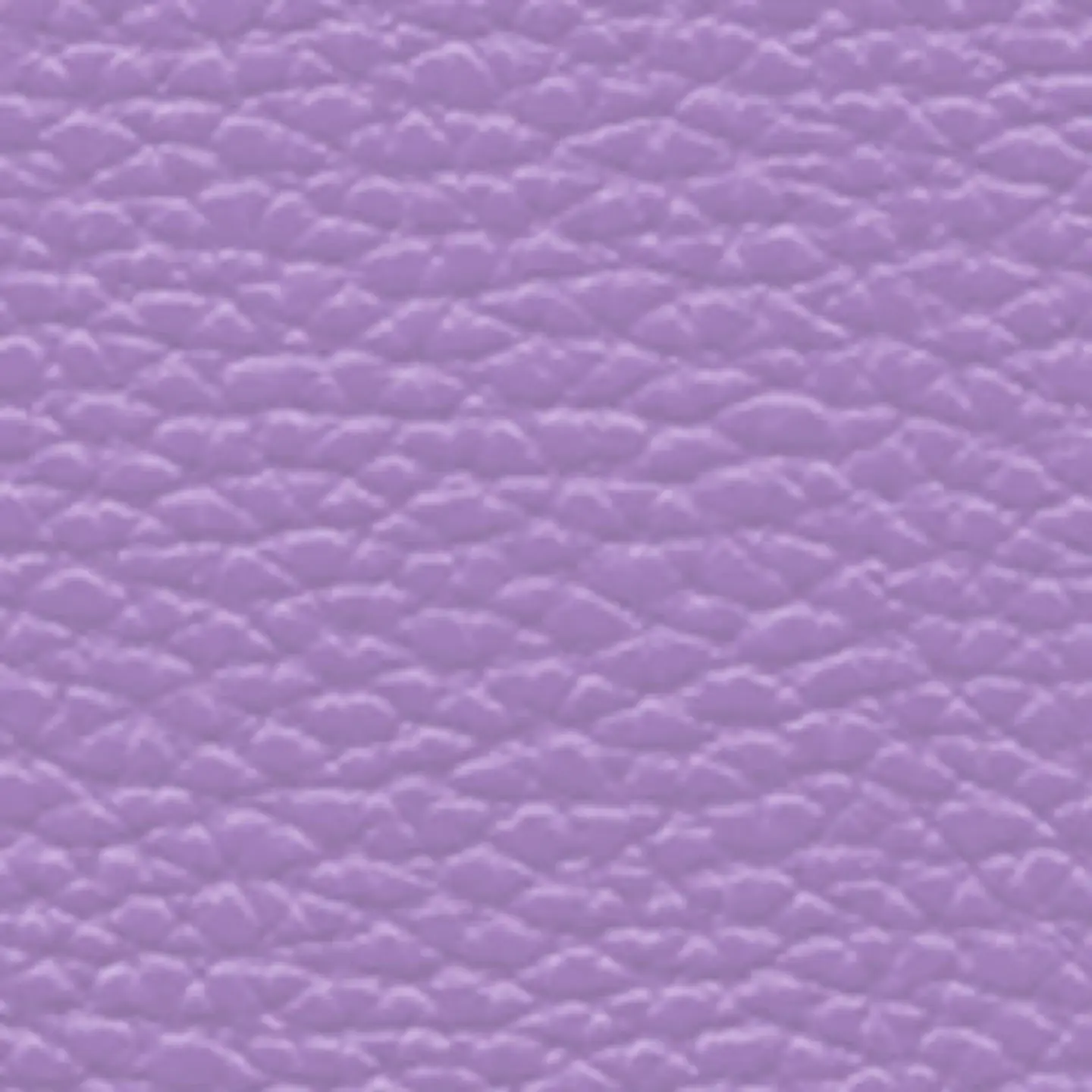 Cartera Cuero Satchel Petalia 11