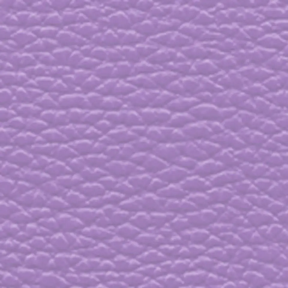 Cartera Cuero Satchel Petalia 11