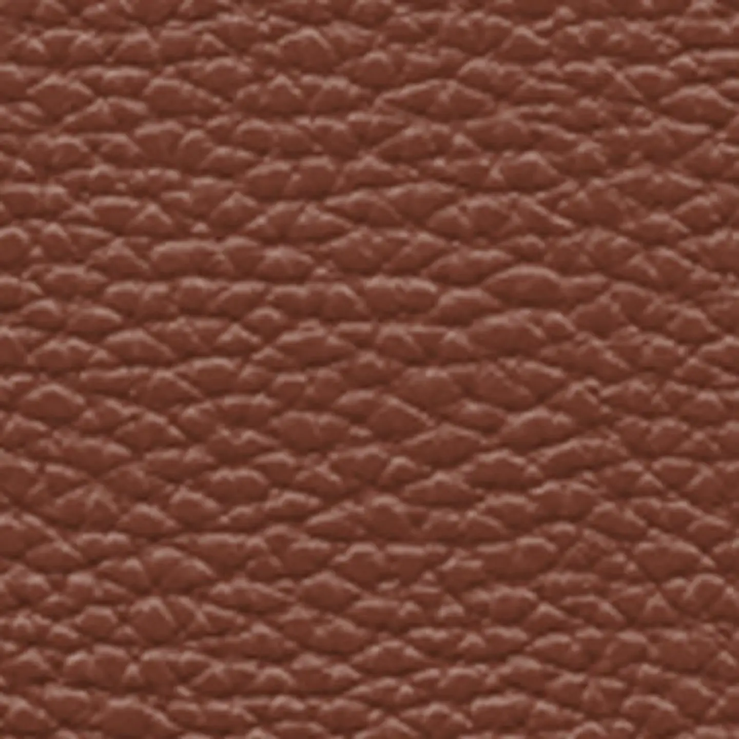Correa Rebel Leather 8
