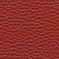 Correa Snake Skin - Miniatura 14