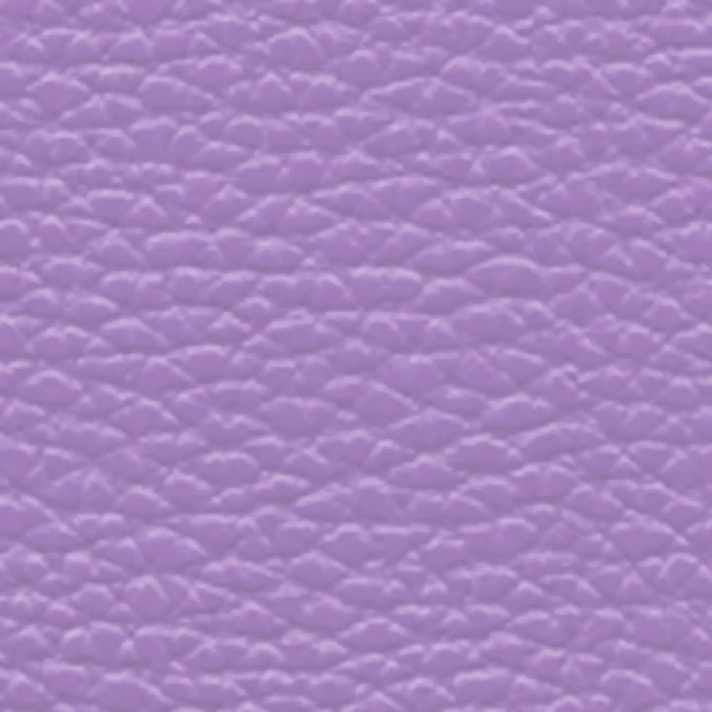 Billetera Atemporal 6