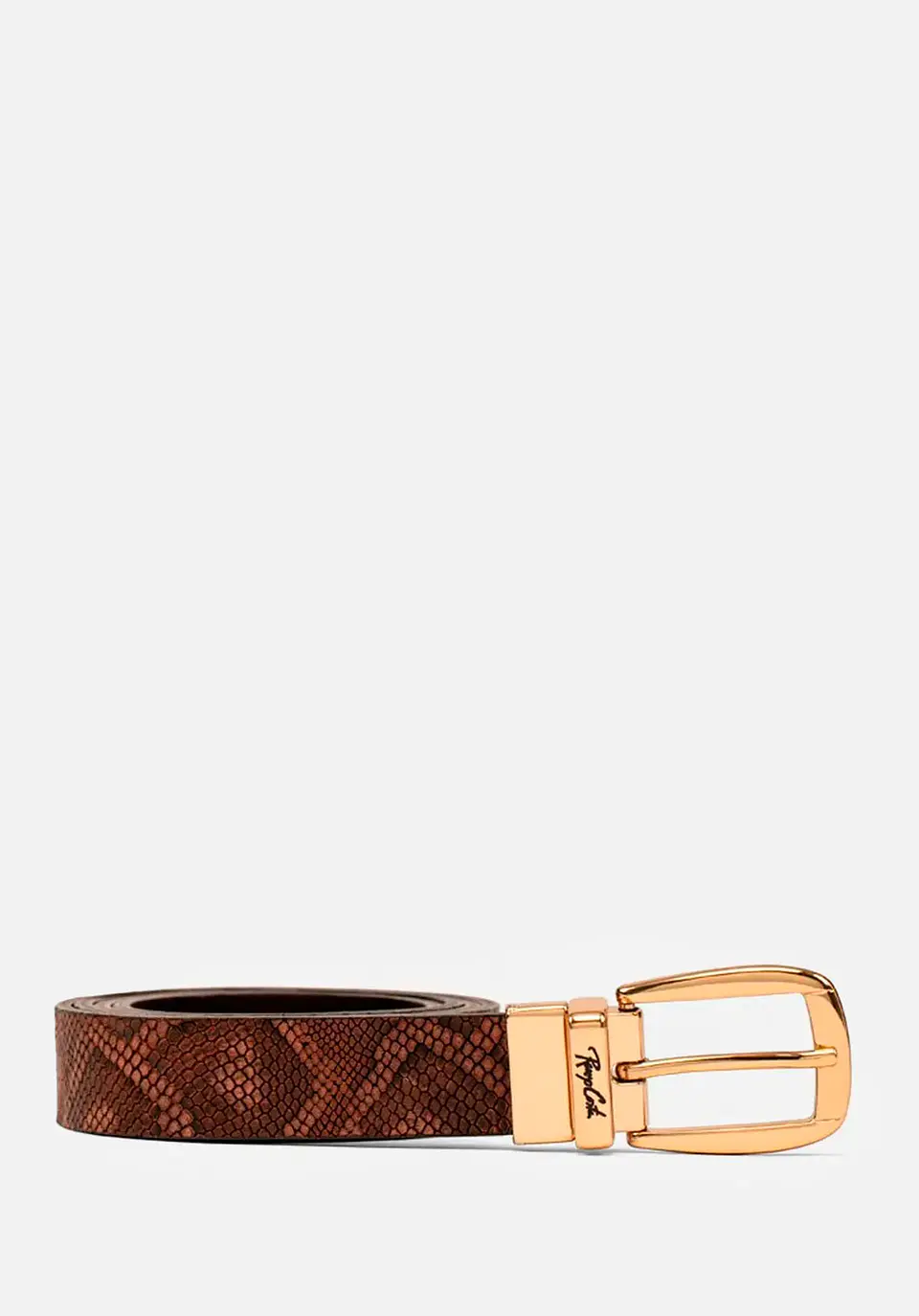 Correa Snake Skin 11