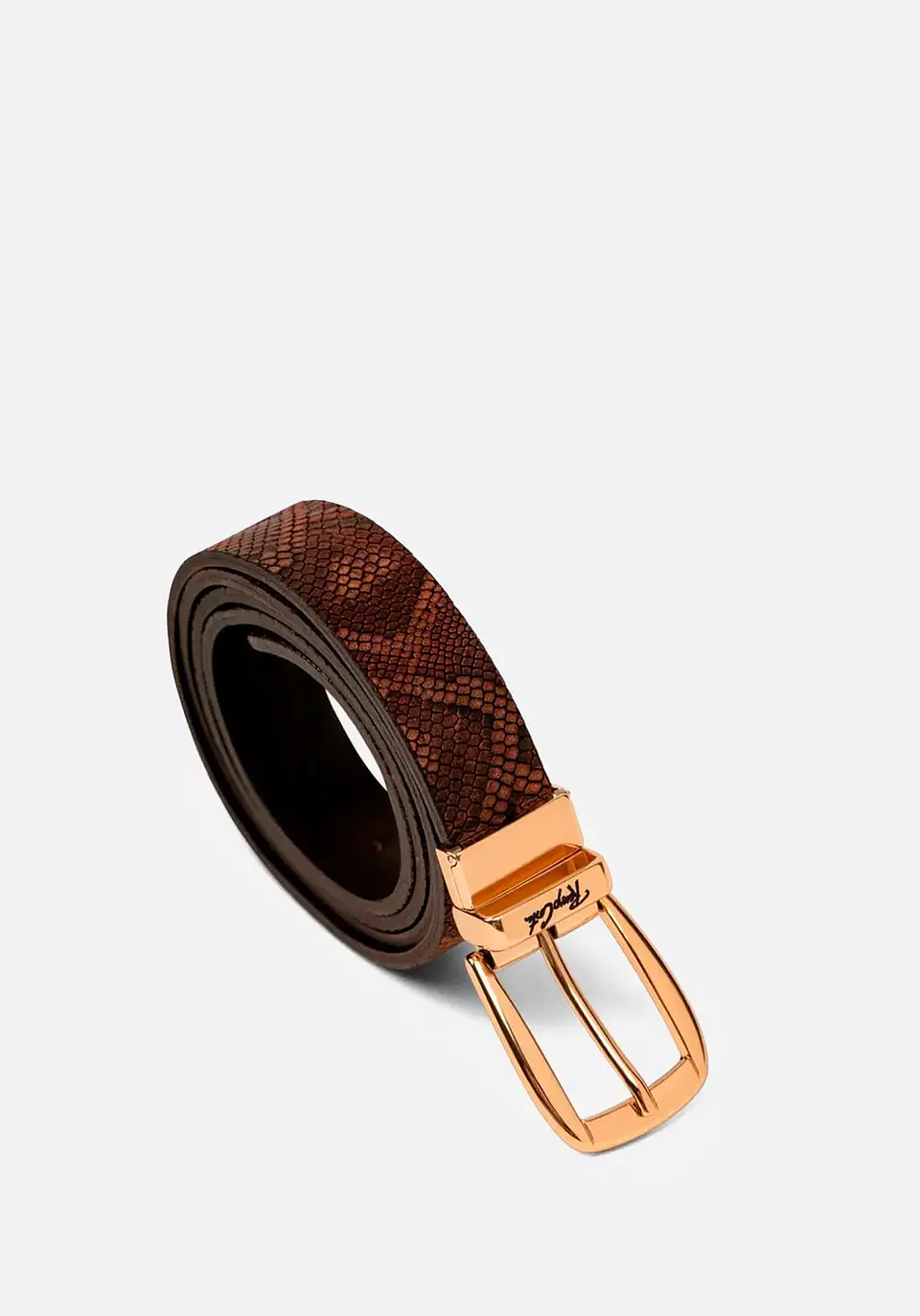 Correa Snake Skin 13