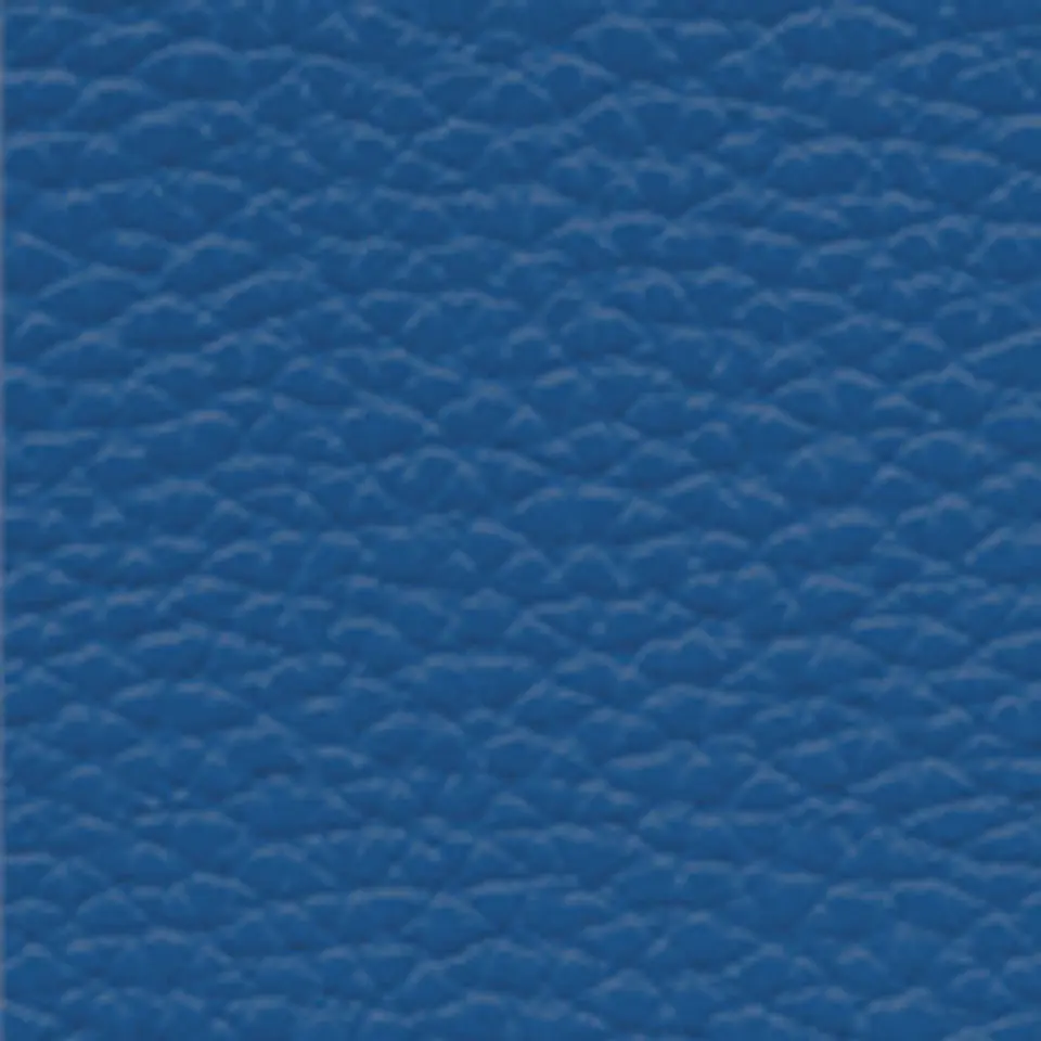 Correa Snake Skin 45