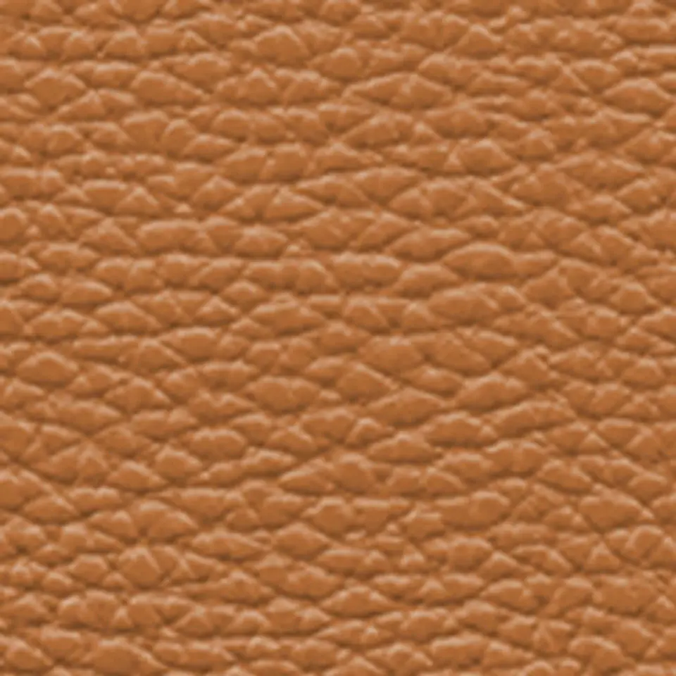 Correa Snake Skin 54