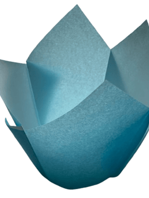 Tulipa Para Muffin Celeste 50 un