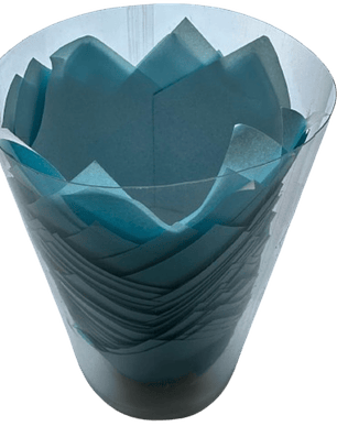 Tulipa Para Muffin Celeste 50 un