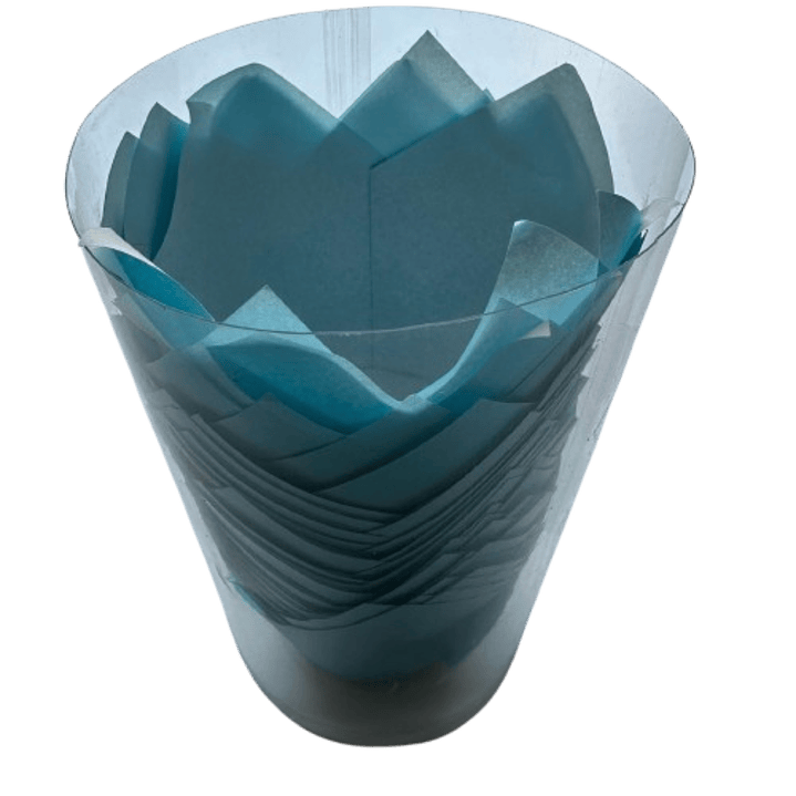 Tulipa Para Muffin Celeste 50 un 2