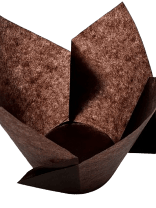 Tulipa Para Muffin Cafe 50 un