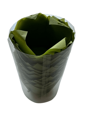 Tulipa Para Muffin Verde 50 un