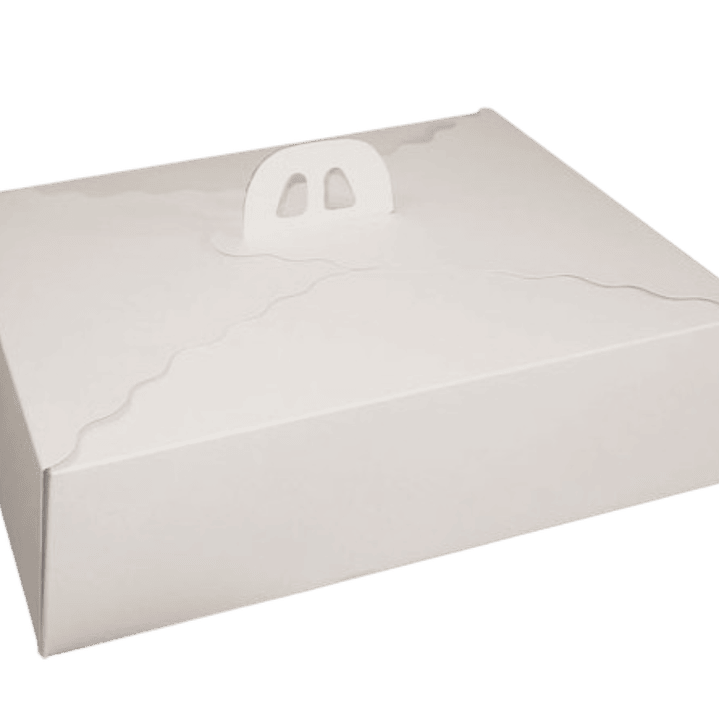 Pack 5 Caja Torta Rectangular 45x35x12 cm 1