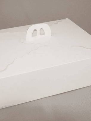 Pack 5 Caja Torta Rectangular 45x35x12 cm