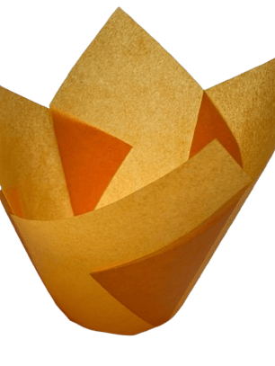 Tulipa Para Muffin Damasco 50 un