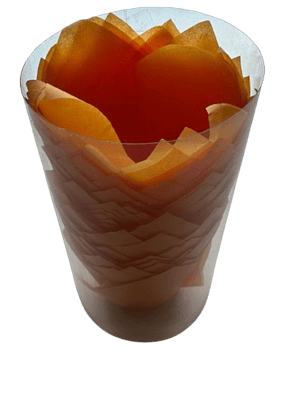 Tulipa Para Muffin Damasco 50 un