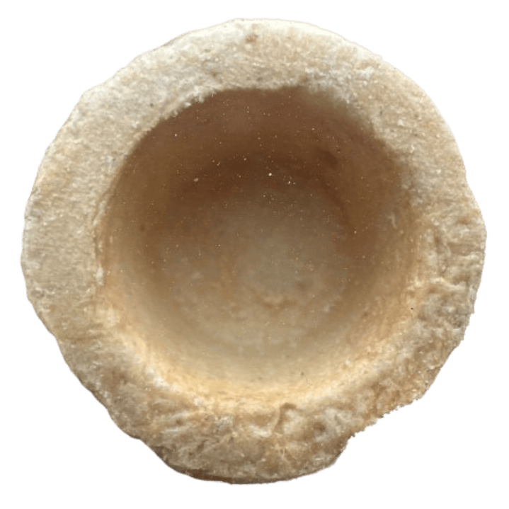 Tacita coctail Oberena 30 unidades 2