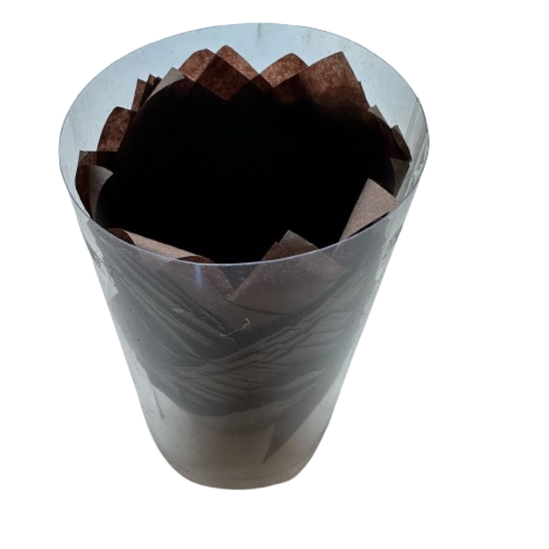 Tulipa Para Muffin Cafe 50 un 2