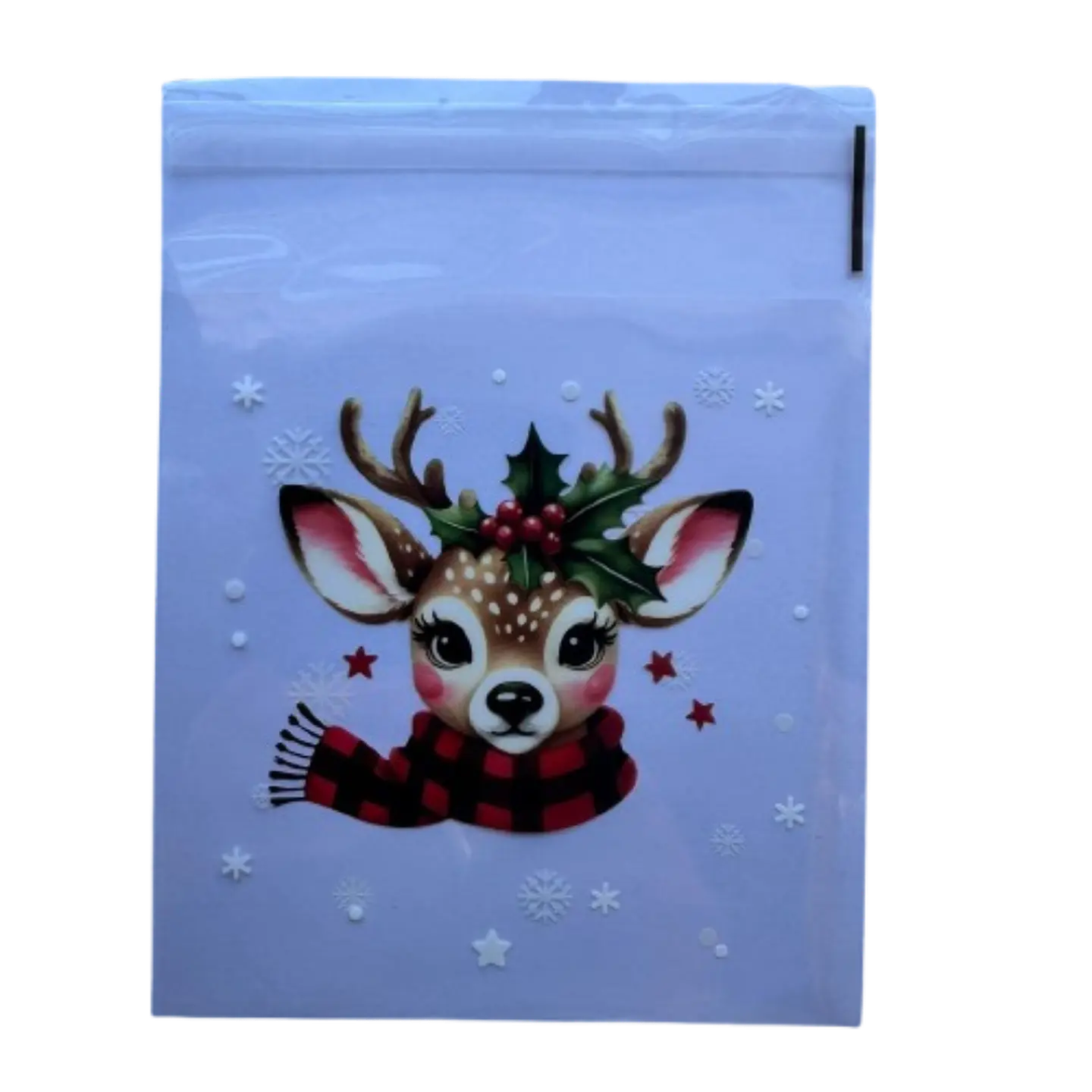 Bolsas Navidad B Celofan Autoadhesivas 100un 10x10+2cm 3