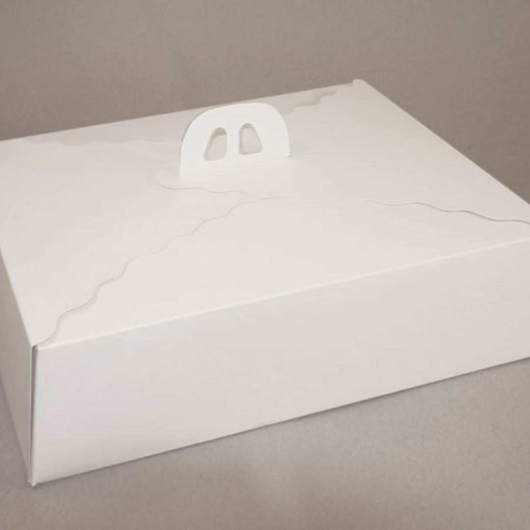 Pack 5 Caja Torta Grande Cartulina Rectangular 45x35x12cm 2