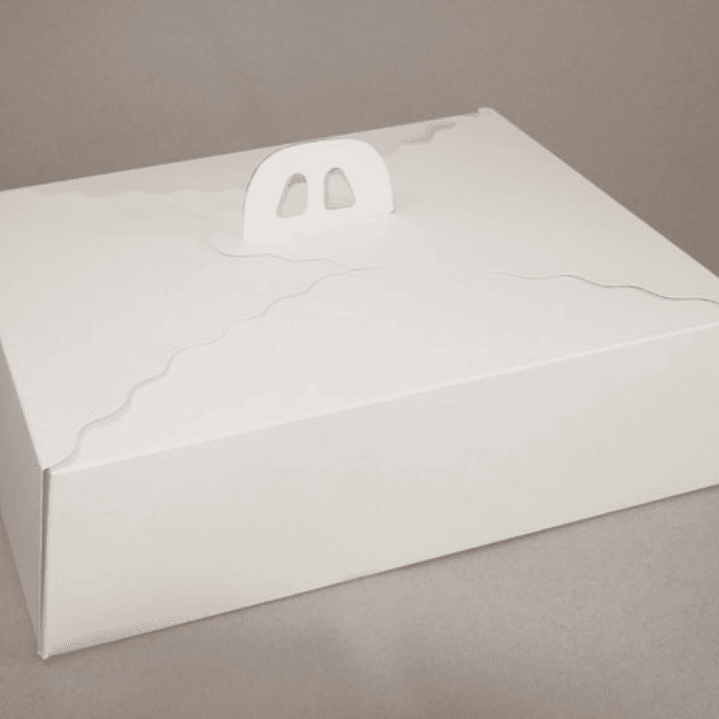 Pack 5 Caja Torta Grande Cartulina Rectangular 45x35x12cm 2