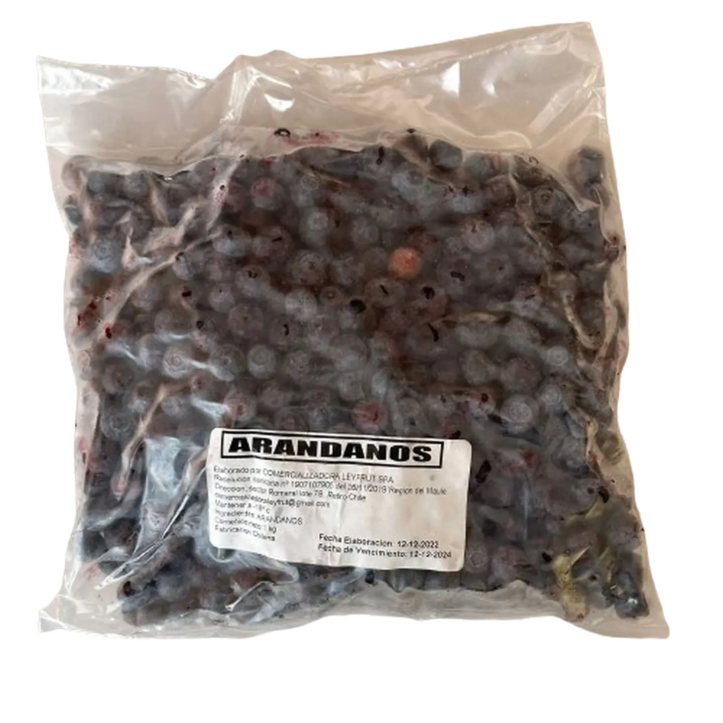 Arandanos Congelados Frutos 100 1kg 1