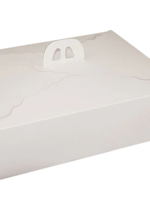 Pack 5 Caja Torta Grande Cartulina Rectangular 45x35x12cm
