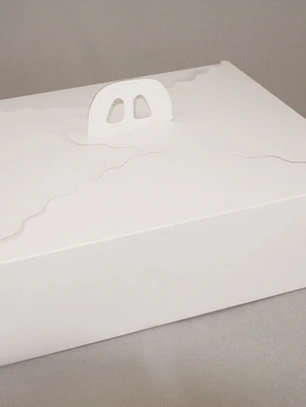 Pack 5 Caja Torta Grande Cartulina Rectangular 45x35x12cm