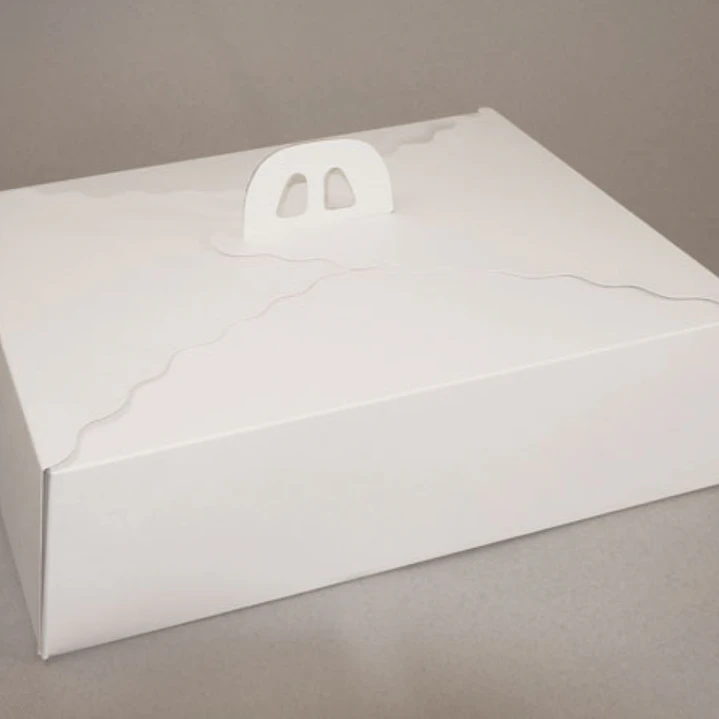 Pack 5 Caja Torta Grande Cartulina Rectangular 45x35x12cm 2