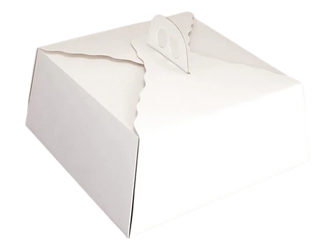 Pack 5 Caja Torta Mediana Alta Cartulina Cuadrada 35x15cm