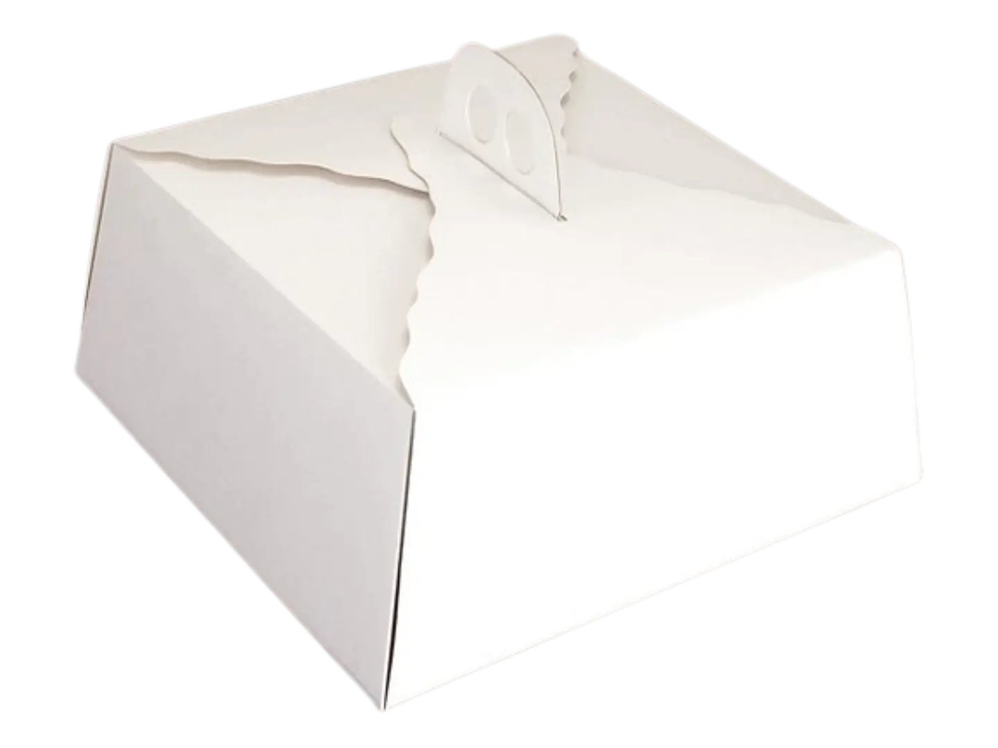 Pack 5 Caja Torta Mediana Alta Cartulina Cuadrada 35x15cm 1