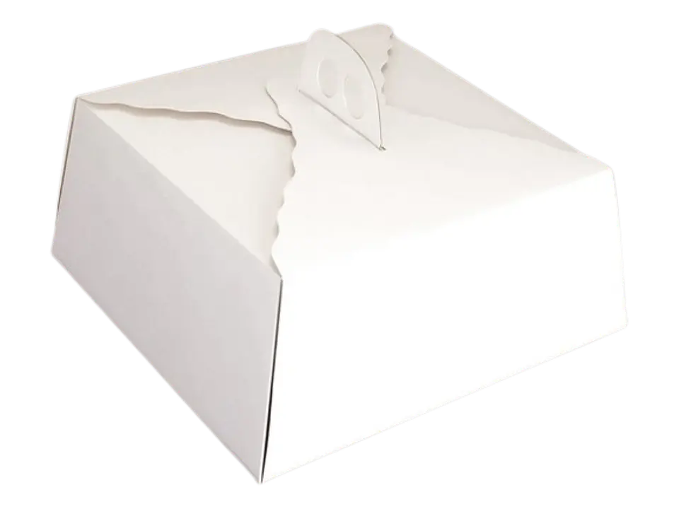 Pack 5 Caja Torta Mediana Alta Cartulina Cuadrada 35x15cm 1
