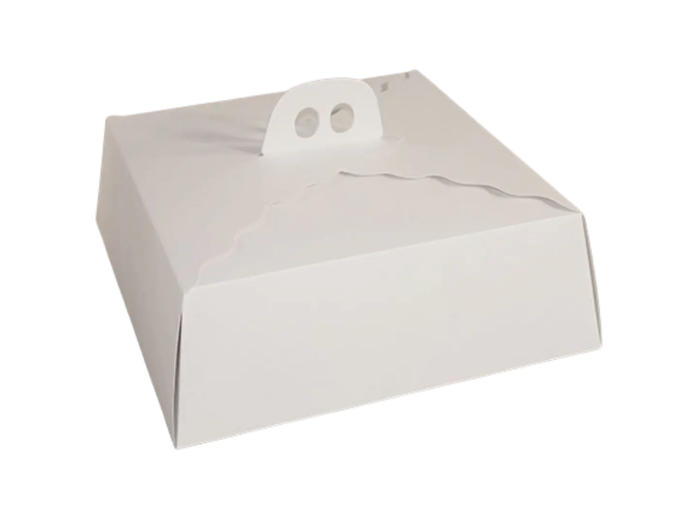 Pack 5 Caja Torta Chica Cartulina Cuadrada 29,5x10,6cm 1