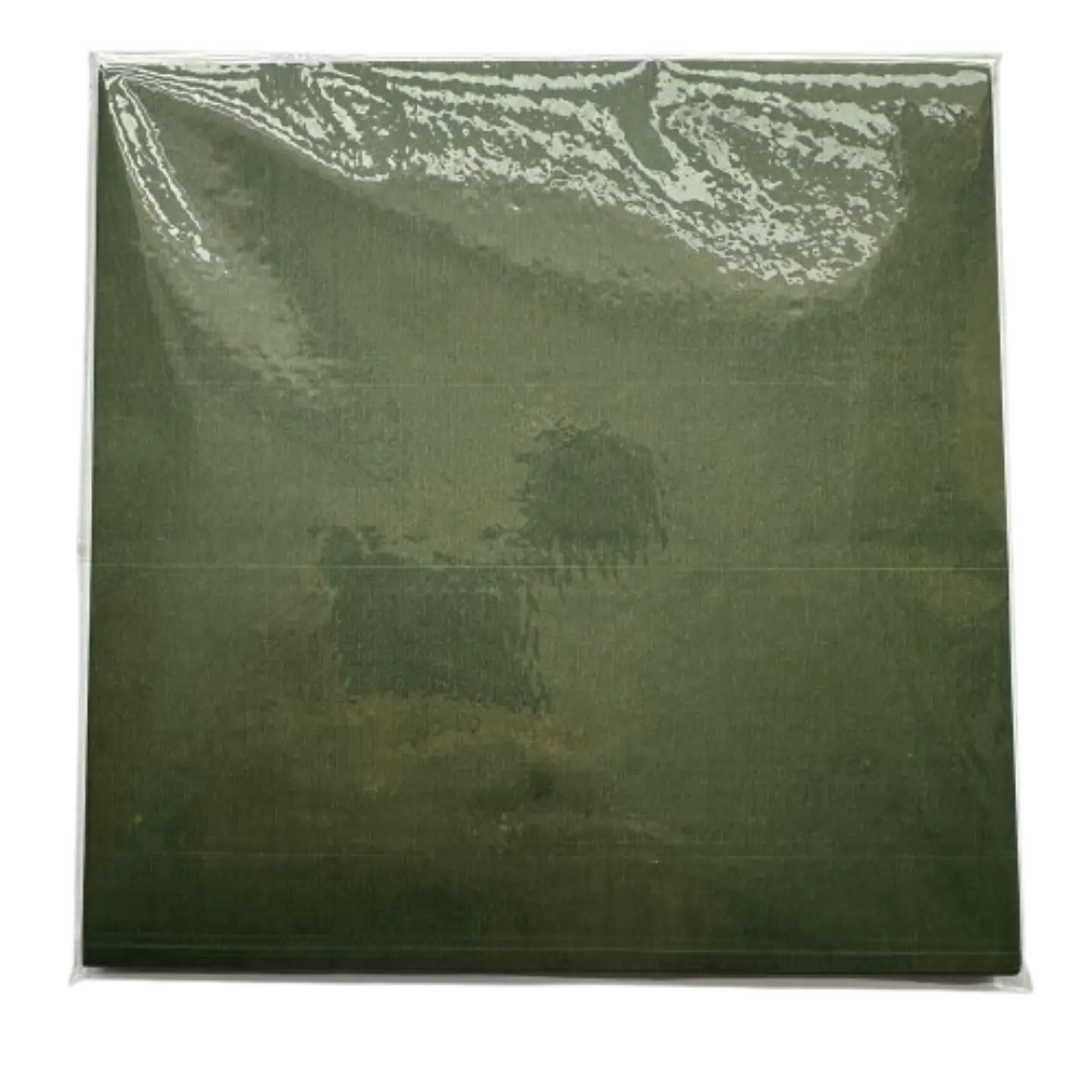 Papel Alfajor Verde Oscuro Ceresinado 100un 14x14cm 2
