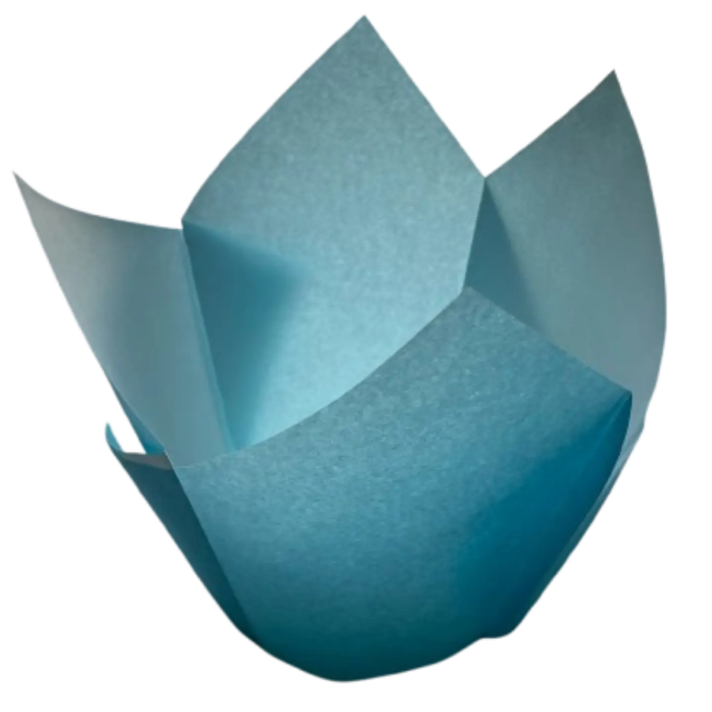 Tulipa Para Muffin Celeste 50un Diametro 5cm Alto 6cm 1