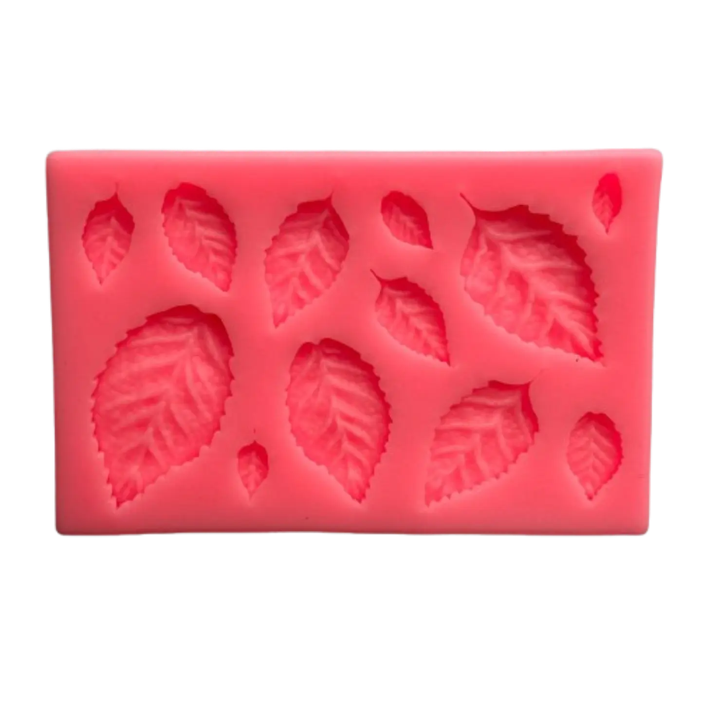 Molde Silicona Hojas 12 Figuras 9,6x6,2cm 2