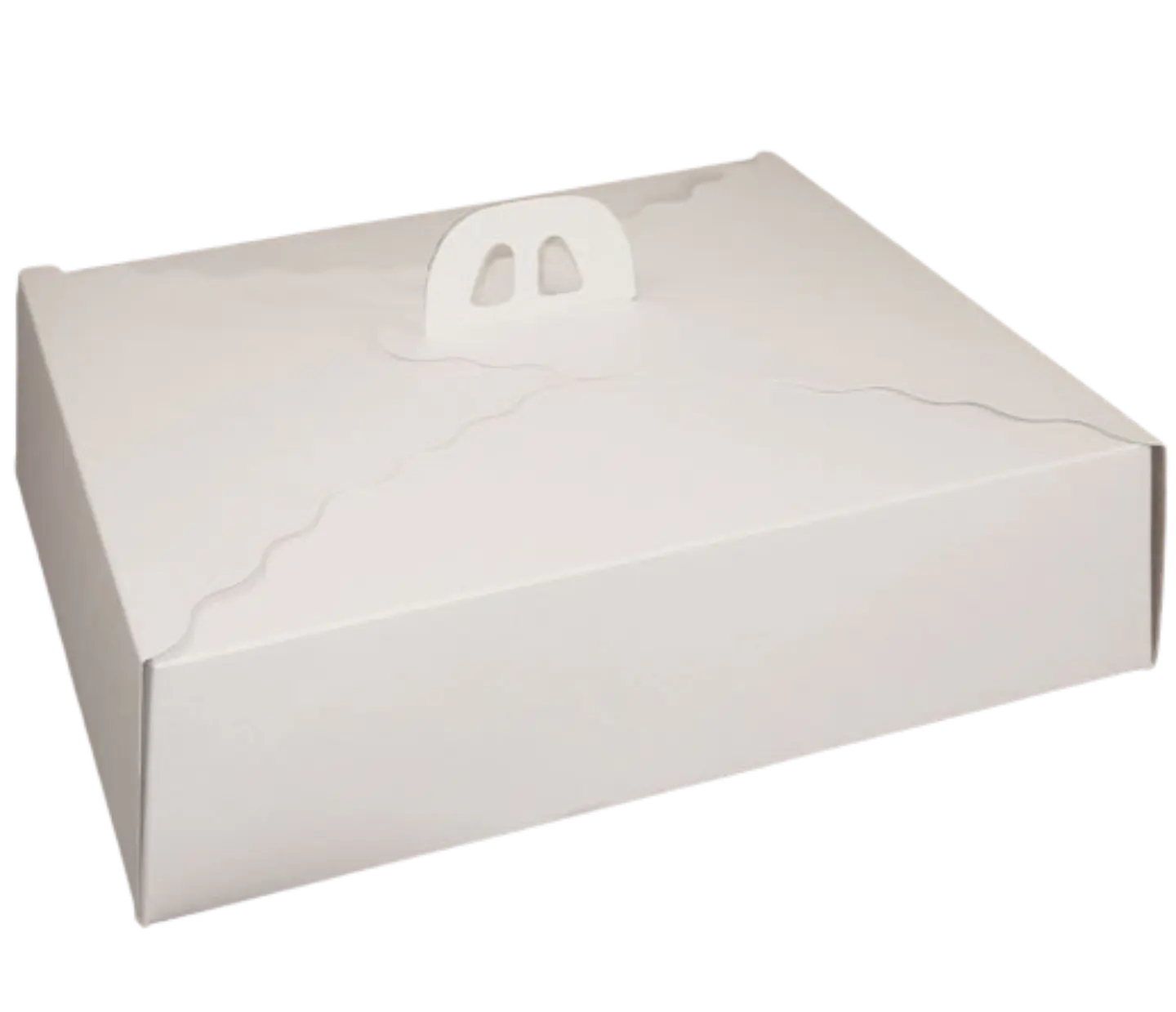 Pack 5 Caja Torta Grande Cartulina Rectangular 45x35x12cm 1