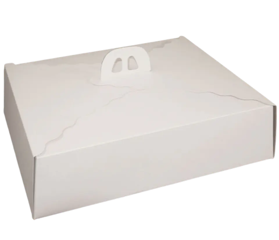 Pack 5 Caja Torta Grande Cartulina Rectangular 45x35x12cm 1