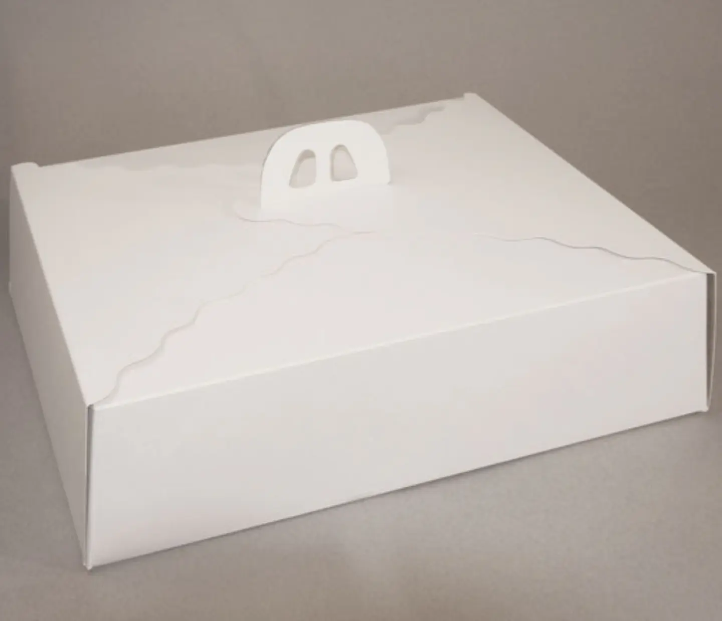Pack 5 Caja Torta Grande Cartulina Rectangular 45x35x12cm 2