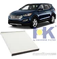 Filtro Polen Hyundai Santa Fe 2.2 Del 2013 Al 2018 - Miniatura 1